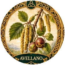 Ilustración botánica de Avellano