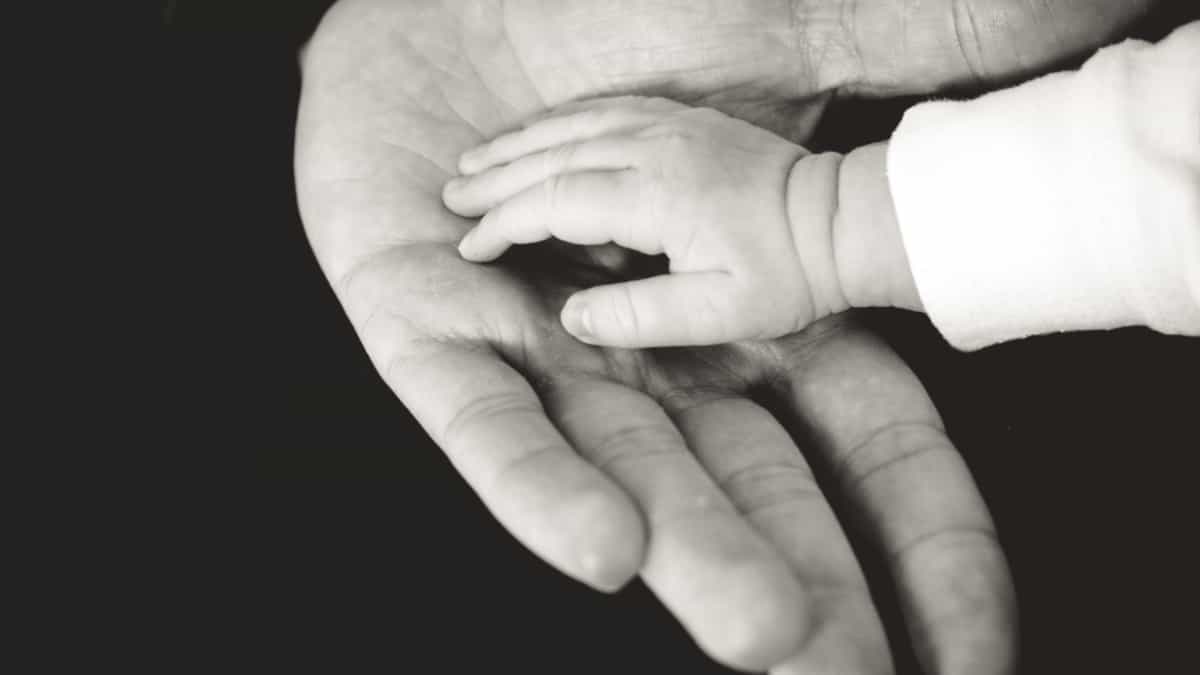 hijos adoptados, consejos para crear un vinculo con tus hijos adoptados , establecer el vínculo maternal con los hijos adoptivos, como crear el vinculo con un niño adoptado, como ayudarle a superar el abandono